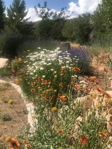 47 S MEADOW DR, Springville, UT 84663