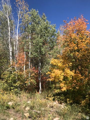 47 S MEADOW DR, Springville, UT 84663