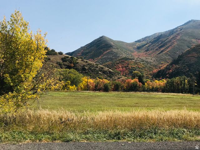 47 S MEADOW DR, Springville, UT 84663