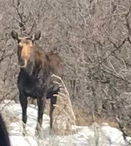 47 S MEADOW DR, Springville, UT 84663