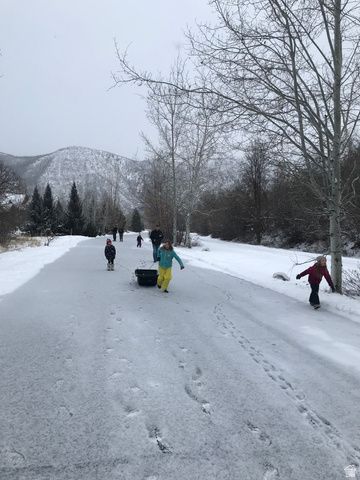 47 S MEADOW DR, Springville, UT 84663