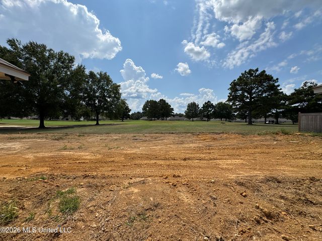 557 Patrick Farms Drive, Pearl, MS 39208