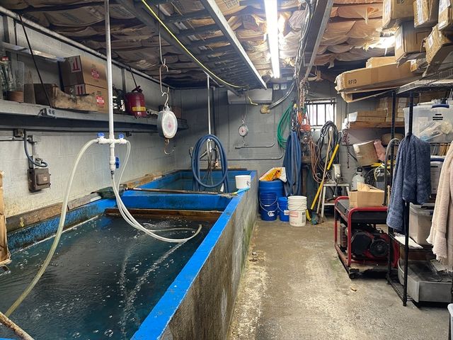 519 Crescent St, Brockton, MA 02302