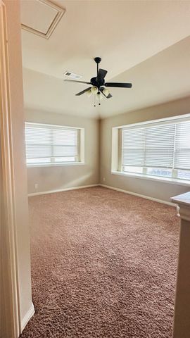217 Bonsai Drive, Anna, TX 75409