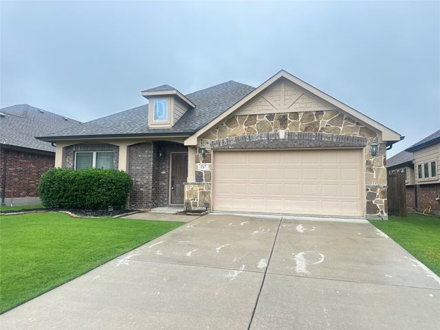 217 Bonsai Drive, Anna, TX 75409