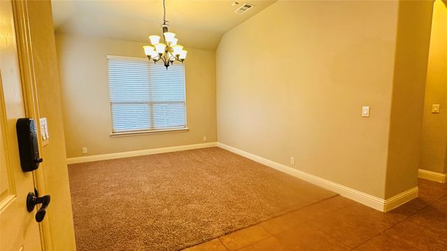 217 Bonsai Drive, Anna, TX 75409