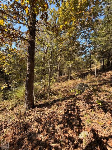 119 Edna Avenue, Hardy, AR 72542