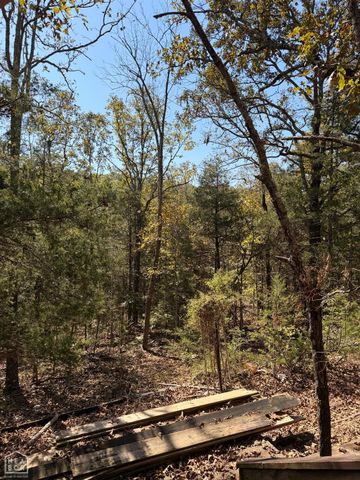 119 Edna Avenue, Hardy, AR 72542