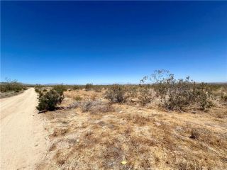 33501 165th Street E, Llano, CA 93544