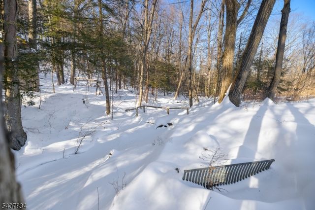 31 Meadow Ln, Vernon Twp., NJ 07462