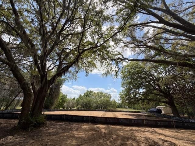 17144 PHIL C PETERS ROAD, Winter Garden, FL 34787