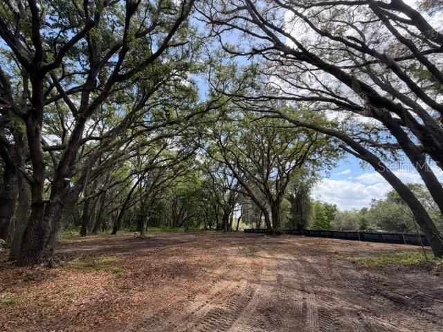 17144 PHIL C PETERS ROAD, Winter Garden, FL 34787