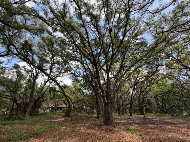 17144 PHIL C PETERS ROAD, Winter Garden, FL 34787