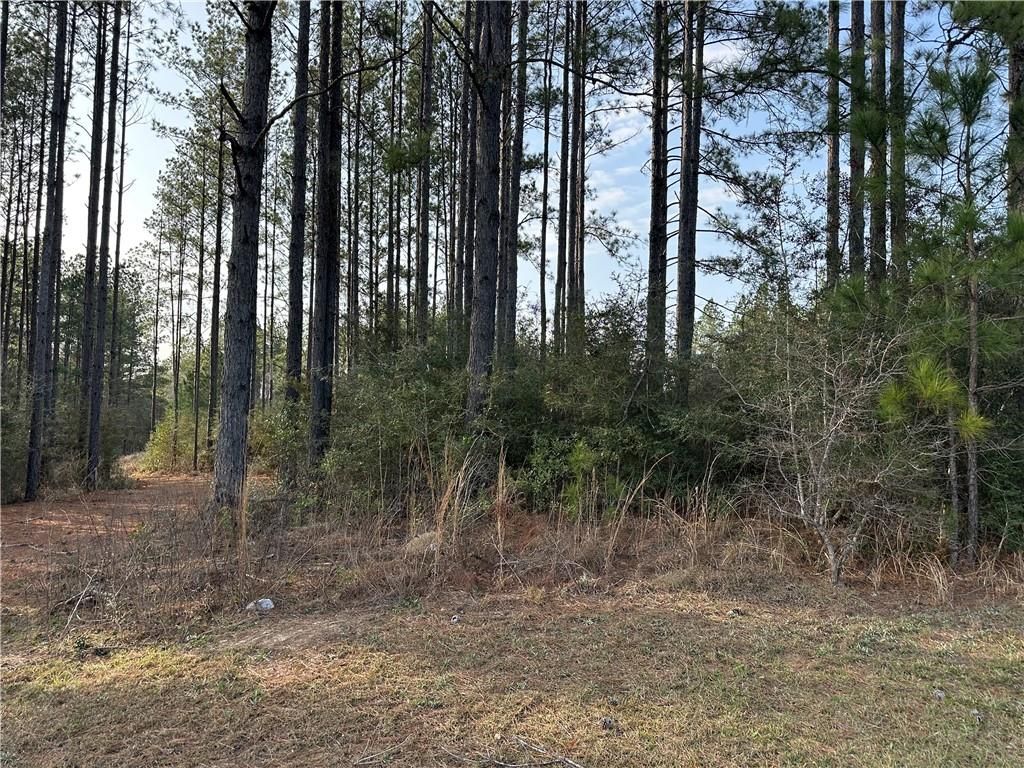 0 Turnerville Farms Drive, Chunchula, AL 36521 — photo 2