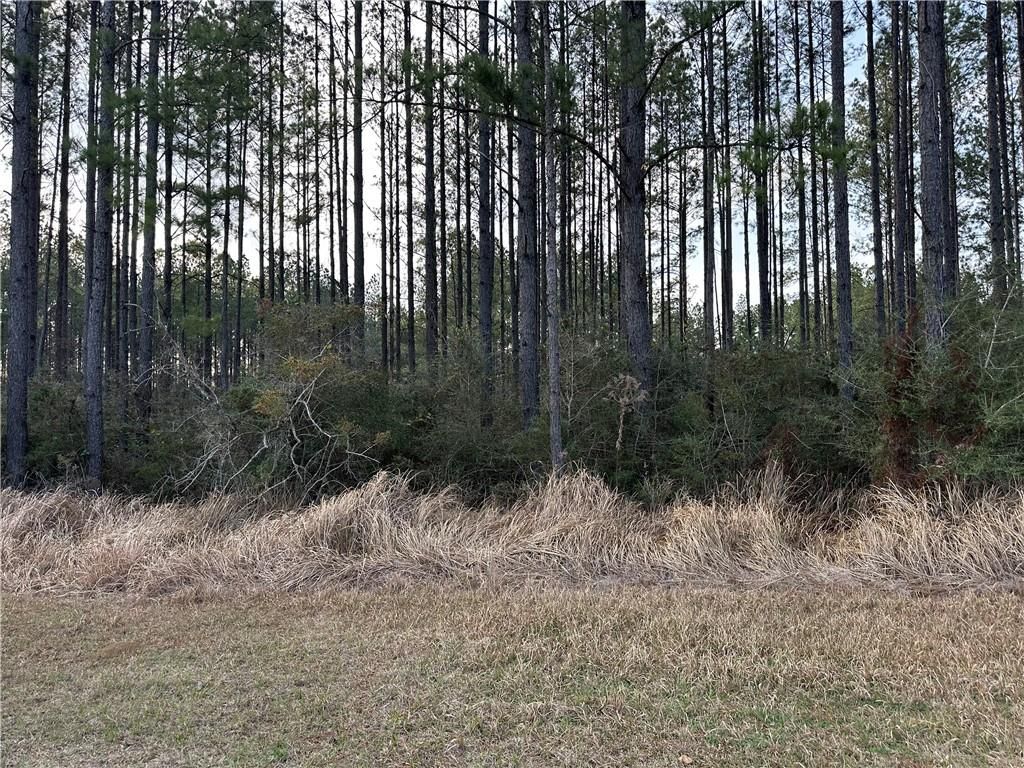 0 Turnerville Farms Drive, Chunchula, AL 36521 — photo 3