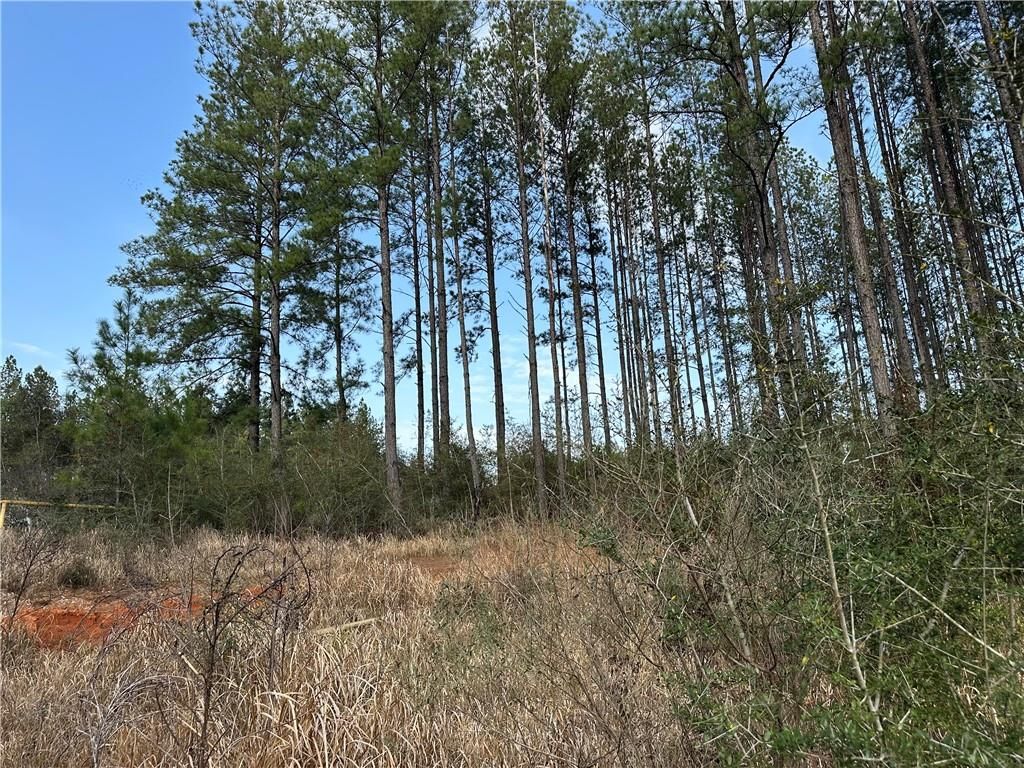 0 Turnerville Farms Drive, Chunchula, AL 36521 — photo 4