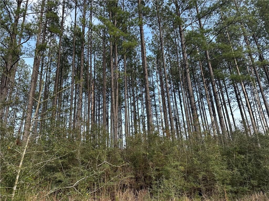 0 Turnerville Farms Drive, Chunchula, AL 36521 — photo 5
