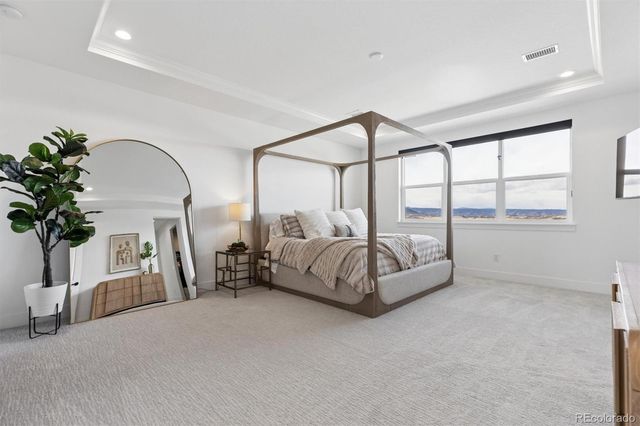 5423 Brotherton Court, Castle Rock, CO 80104