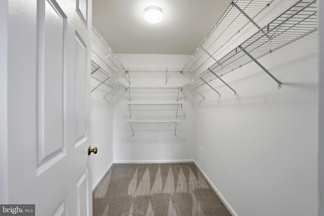 8007 STATION RD, Manassas, VA 20111