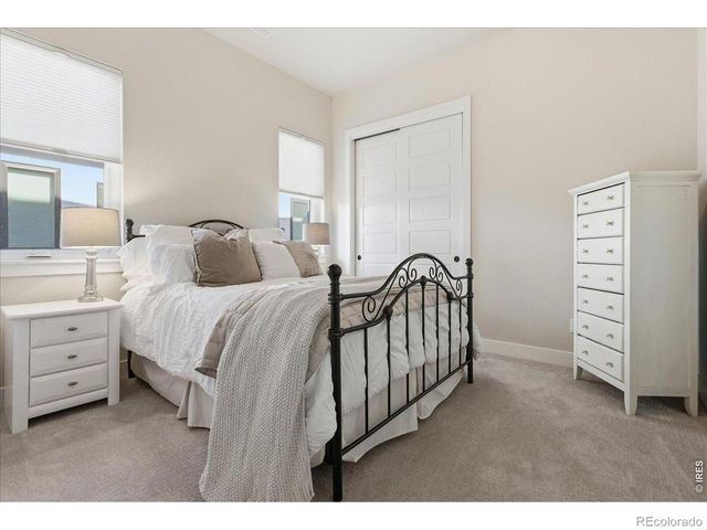 1727 Barefoot Drive, Windsor, CO 80550