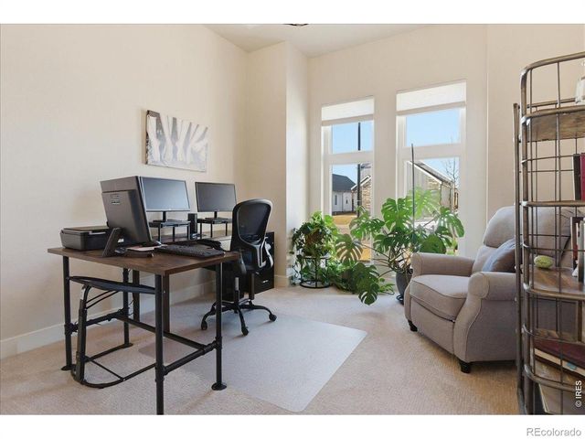 1727 Barefoot Drive, Windsor, CO 80550