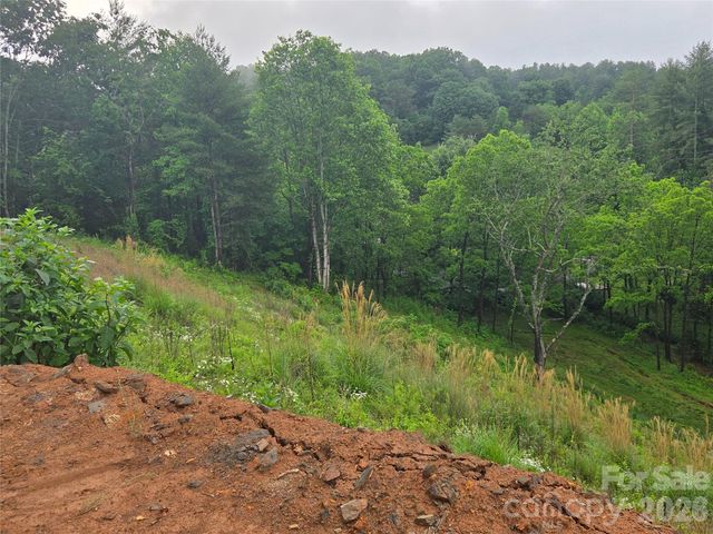 374 Big Branch Drive Lot 2 D, Mars Hill, NC 28754