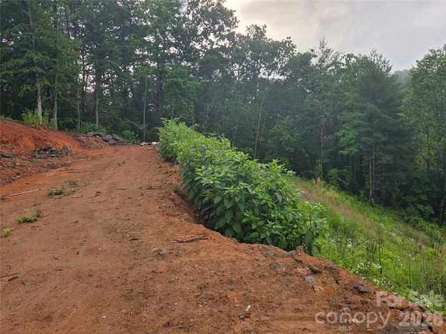 374 Big Branch Drive Lot 2 D, Mars Hill, NC 28754