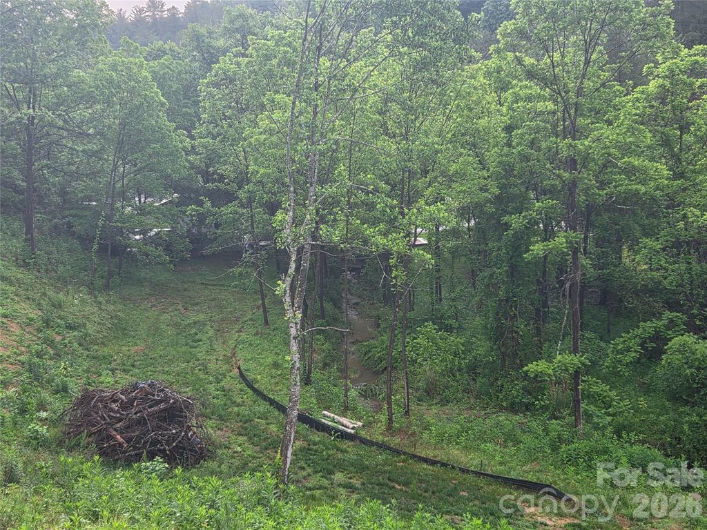 374 Big Branch Drive Lot 2 D, Mars Hill, NC 28754