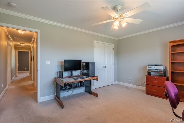 13906 Darden, Northport, AL 35475
