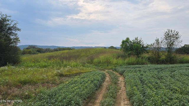50 Upper East Valley Rd, Pikeville, TN 37367
