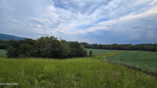 50 Upper East Valley Rd, Pikeville, TN 37367