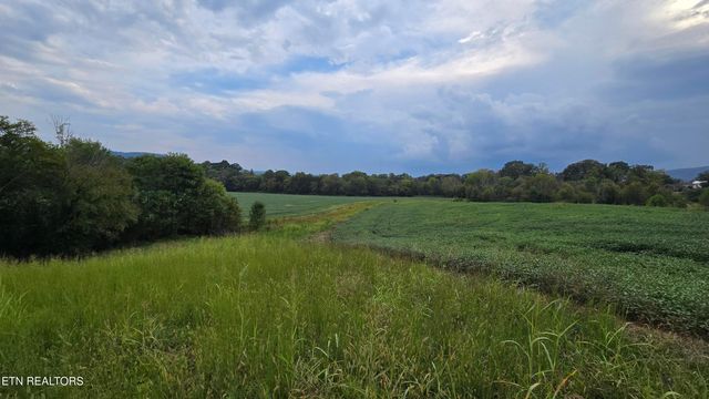 50 Upper East Valley Rd, Pikeville, TN 37367