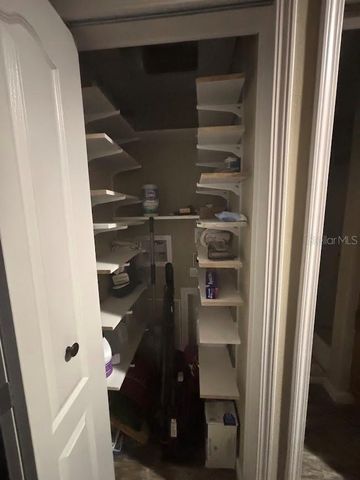 25203 NE 141ST LANE 254, Salt Springs, FL 32134