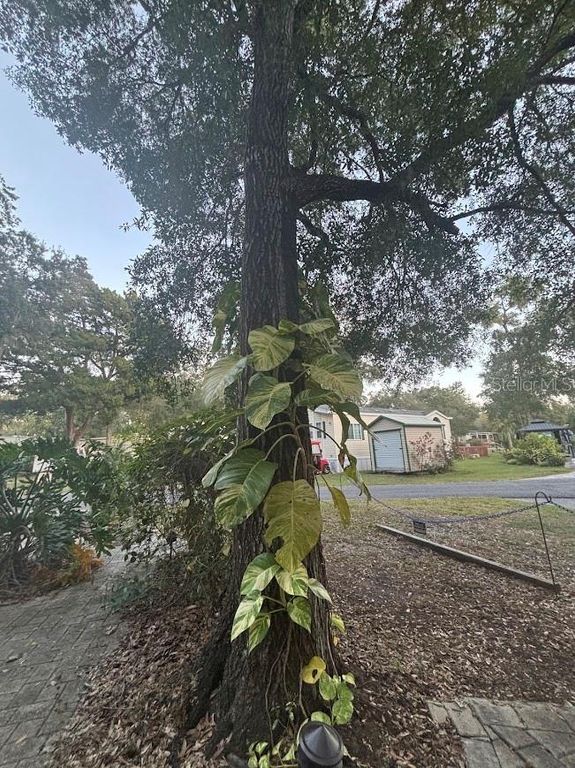 Image 7 of property listing at 25203 NE 141ST LANE 254, Salt Springs, FL 32134