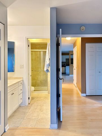 6S010 Steeple Run Drive 2D, Naperville, IL 60540