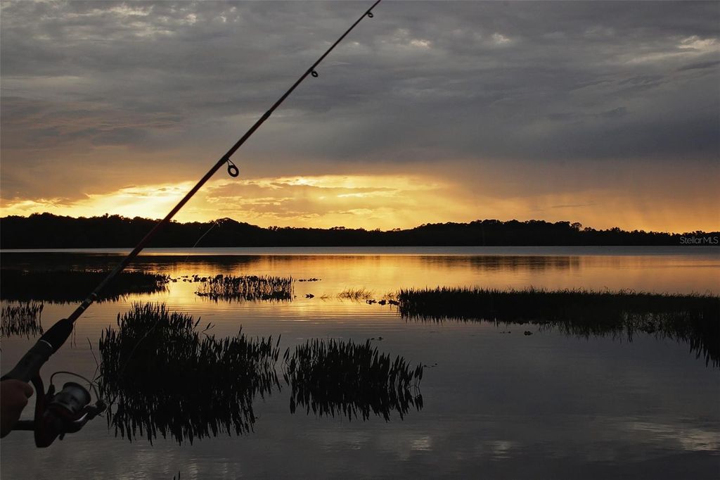 Image 46 of property listing at 3481 MIDDLEBROOK PL, St Cloud, FL 34773