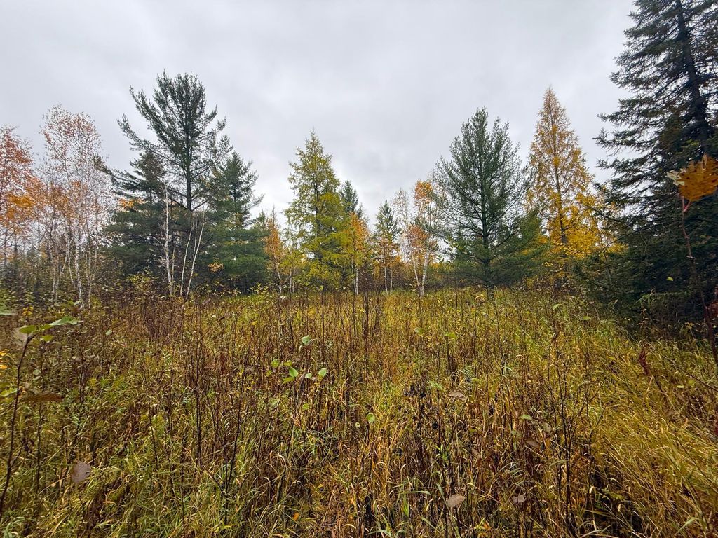 75XX Metske Road, Eveleth, MN 55734 — exterior