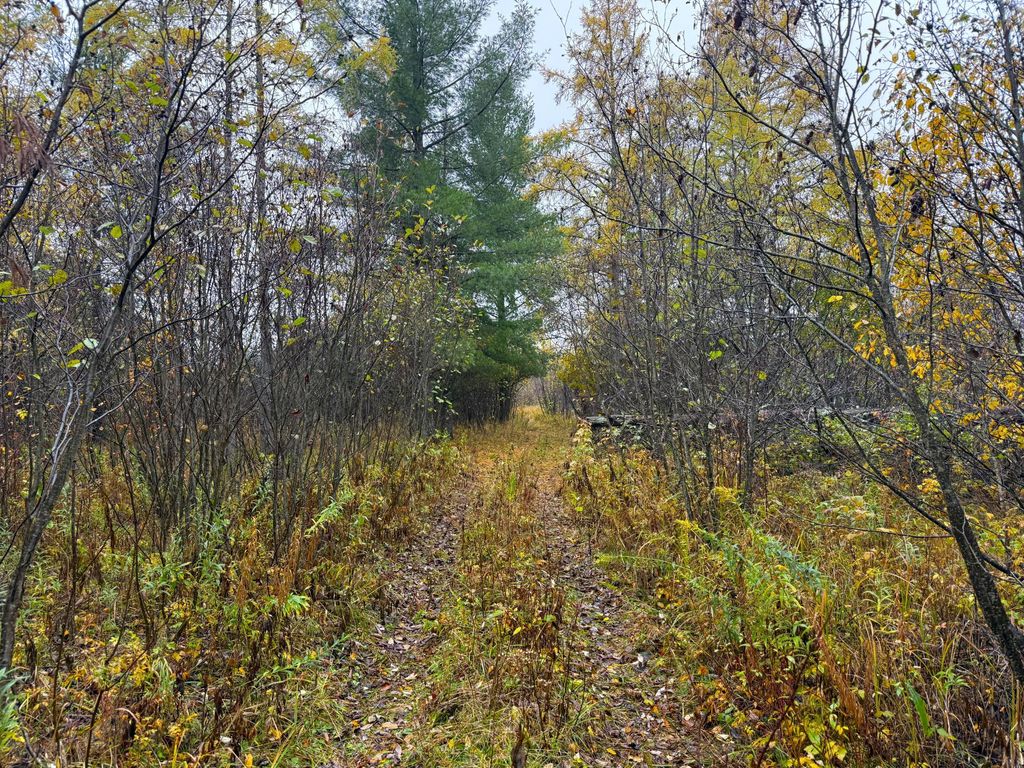 75XX Metske Road, Eveleth, MN 55734 — photo 5