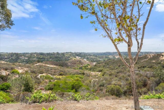245 Fairlee, Encinitas, CA 92024
