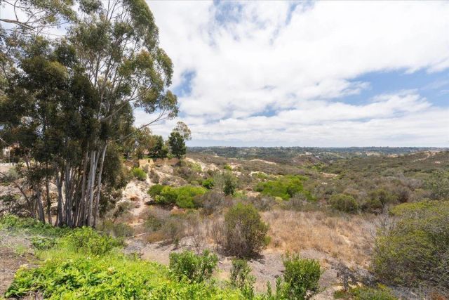 245 Fairlee, Encinitas, CA 92024