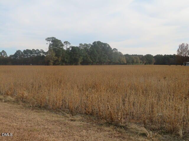 520 Lees Chapel Church Road, Dunn, NC 28334