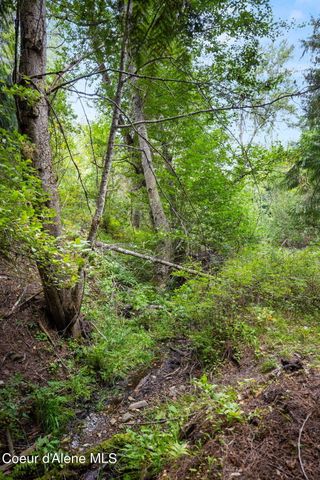 872 South Fork Ridge Rd, Smelterville, ID 83868