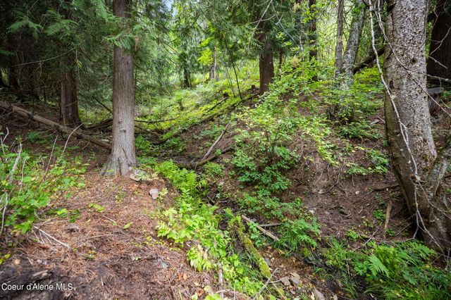 872 South Fork Ridge Rd, Smelterville, ID 83868