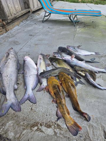 9083 N Old River Rd., Petal, MS 39465