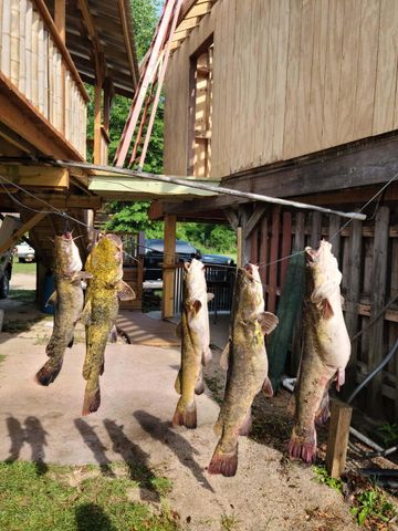 9083 N Old River Rd., Petal, MS 39465