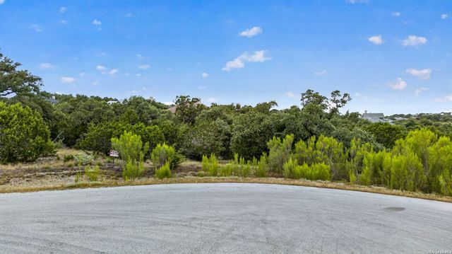 1251 ACE TRL, New Braunfels, TX 78132