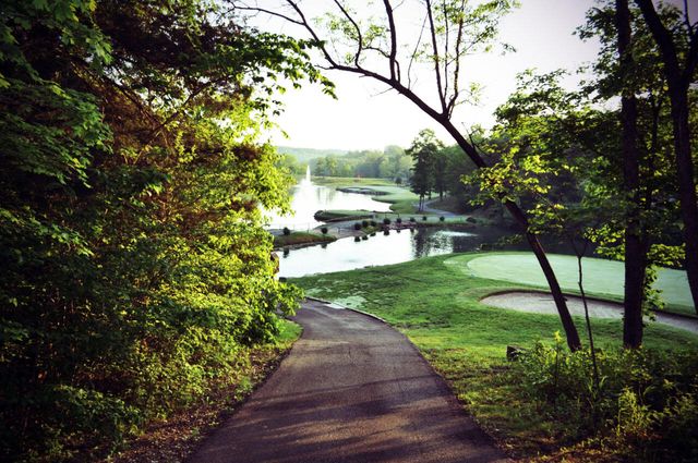 31 Birdie Lane 4, Branson West, MO 65737