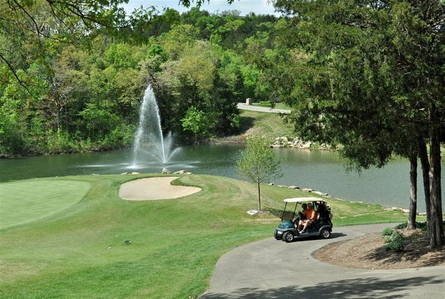 31 Birdie Lane 4, Branson West, MO 65737