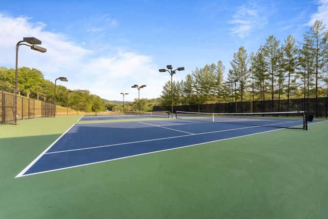 31 Birdie Lane 4, Branson West, MO 65737