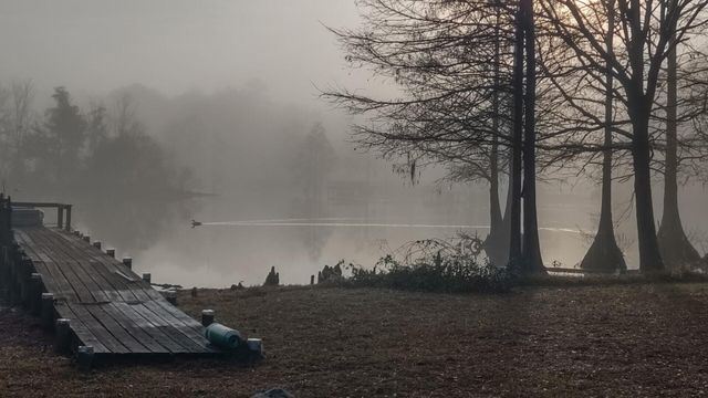 138 Pineridge Road, Eutawville, SC 29048